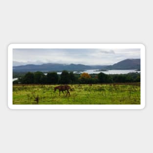 Scotland Country side Sticker